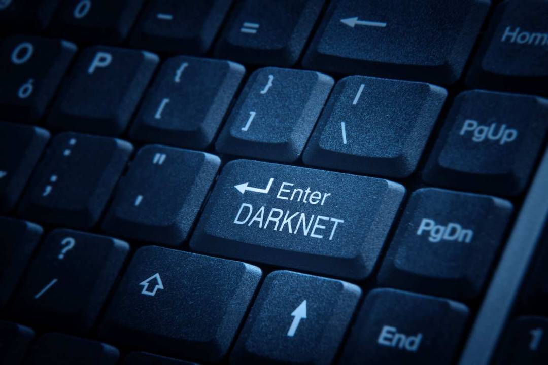 Поисковики в darknet попасть на мегу настройка тор браузера билайн мега